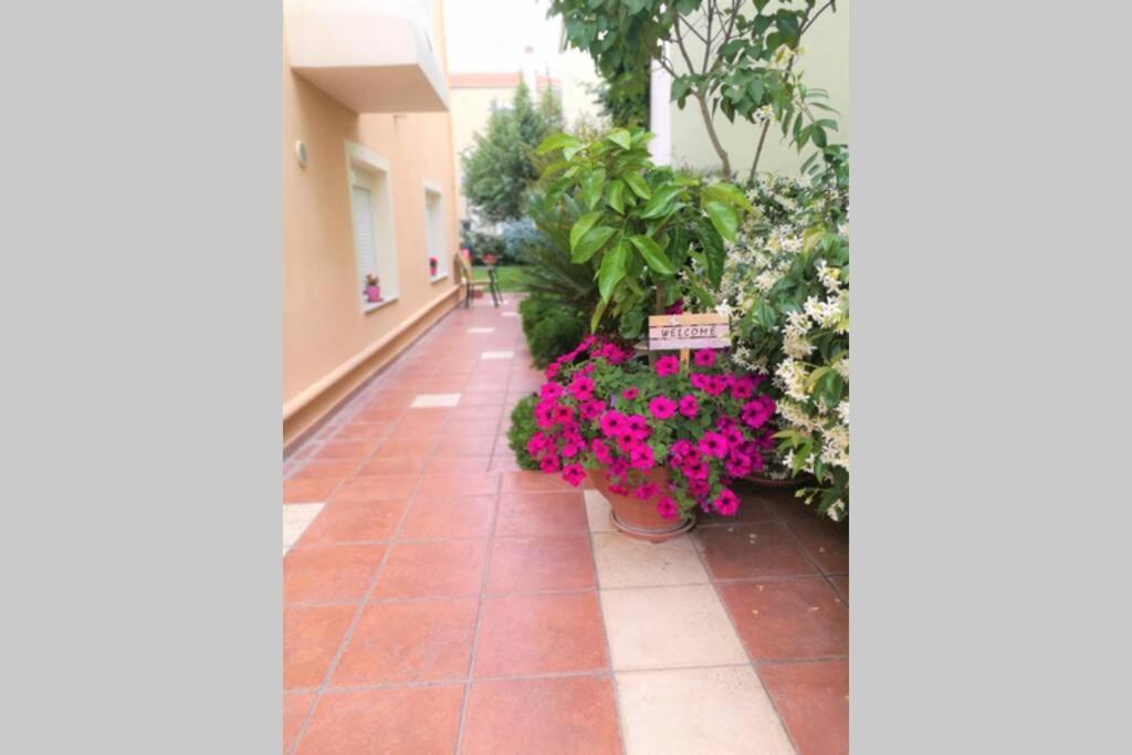 Relaxing Holidays In Nea Irakleitsa Nea Iraklitsa Exterior photo